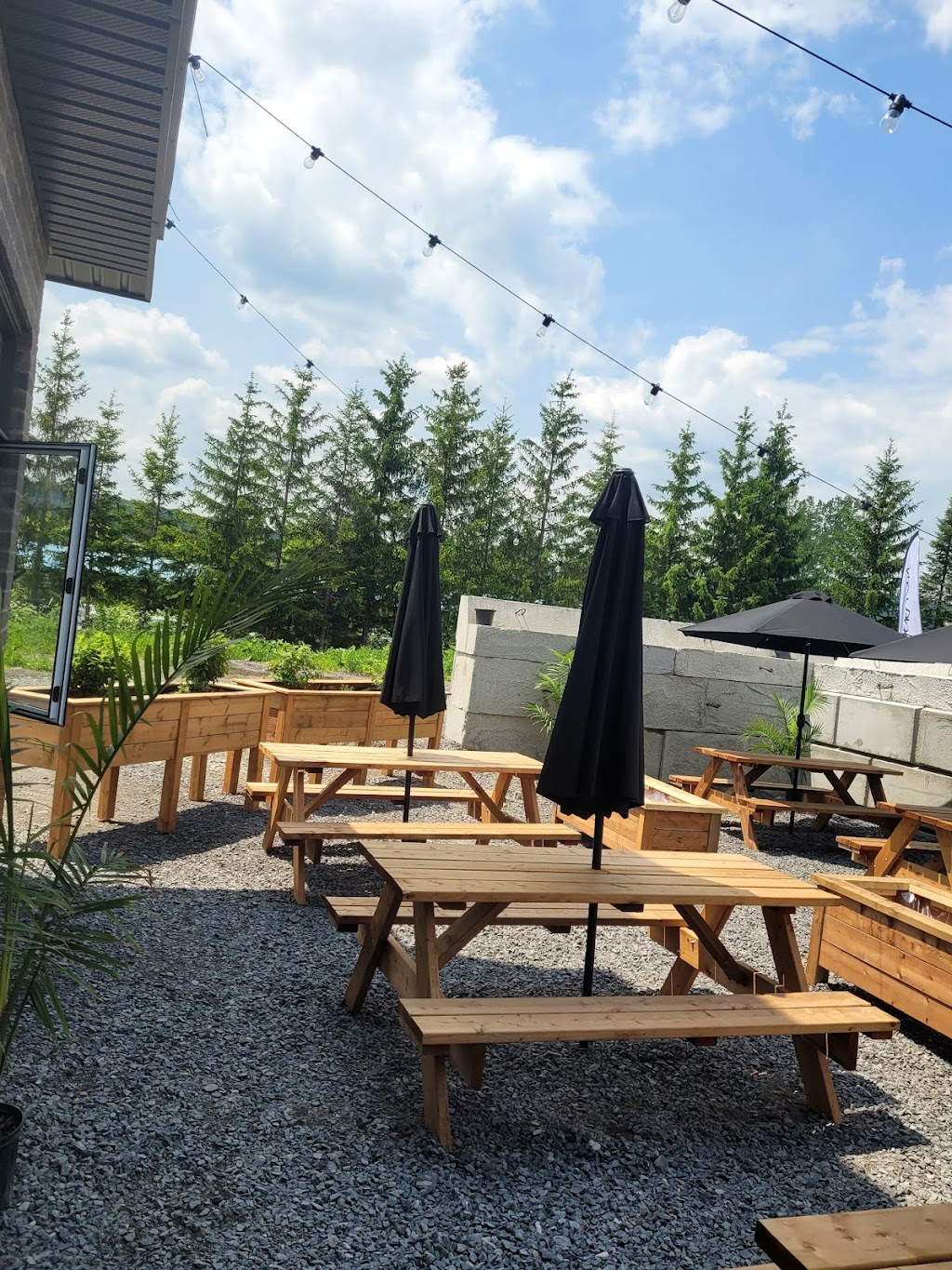 Herman - Brasserie Artisanale | 955 Chem. du Lac Écho Local 101, Prévost, QC J0R 1T0, Canada | Phone: (450) 224-2626