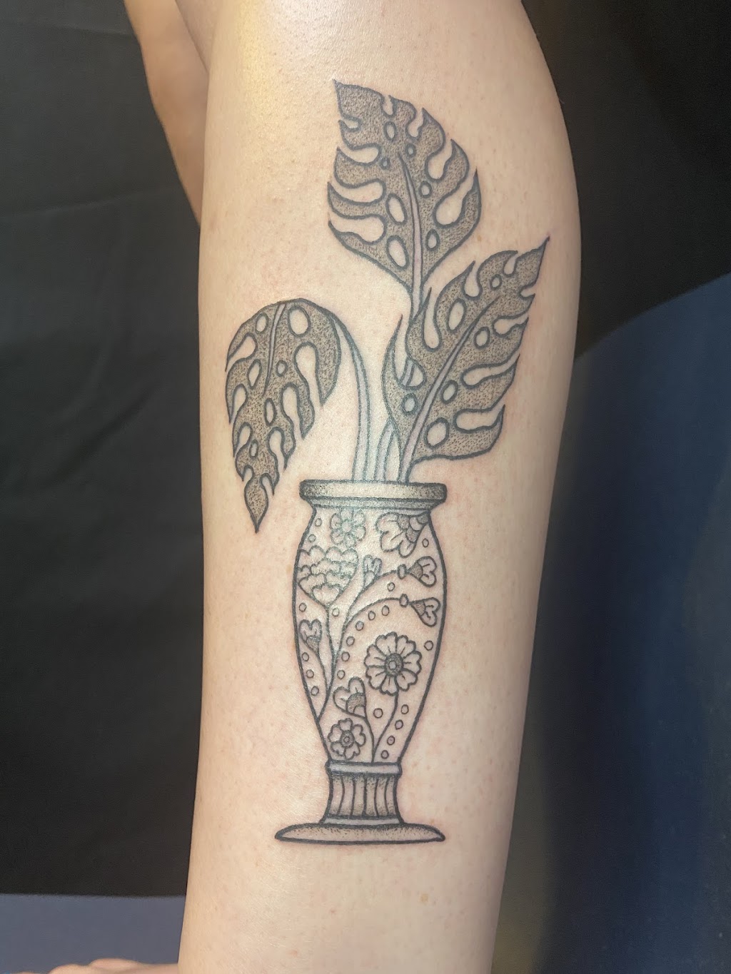Cats and Tats | 3507 34A Ave NW, Edmonton, AB T6L 3Y8, Canada | Phone: (587) 501-6630