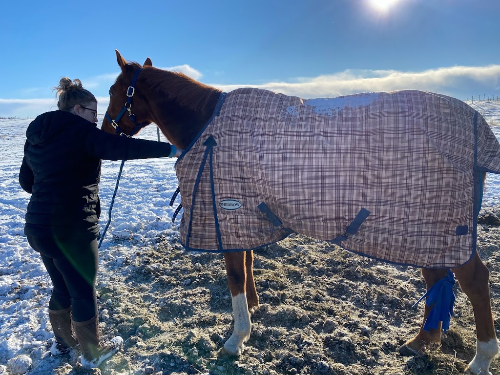 Wildflower Riding Club | 275064 Range Rd 33, Alberta T0M 1L0, Canada | Phone: (587) 777-9161