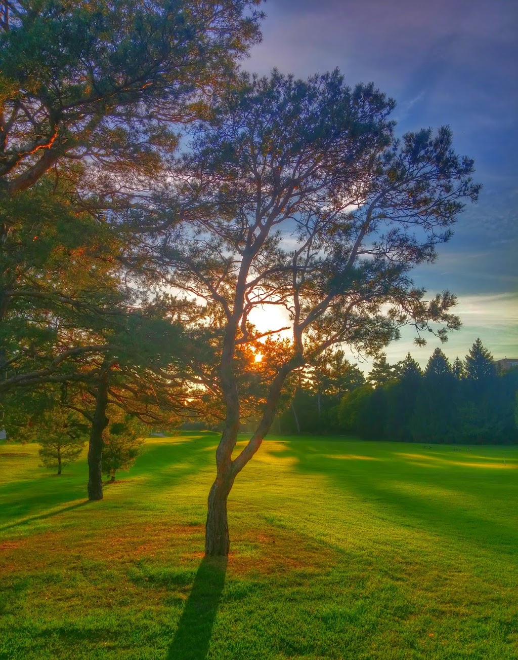 Humber Valley Golf Course | 40 Beattie Ave, Etobicoke, ON M9W 2M3, Canada | Phone: (416) 392-2488