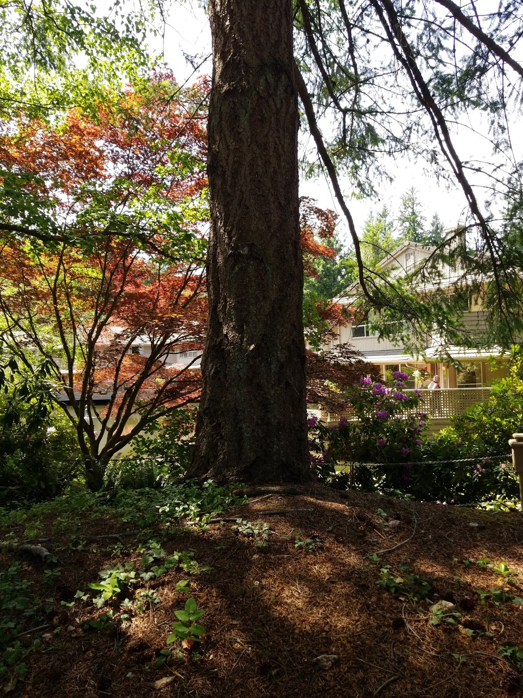 Pondwood Park | 1040 Pondwood Ln, Victoria, BC V8X 4S6, Canada