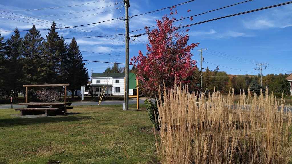 École Le Carrefour | 259 Rue Amherst, Amherst, QC J0T 2L0, Canada | Phone: (819) 429-4102