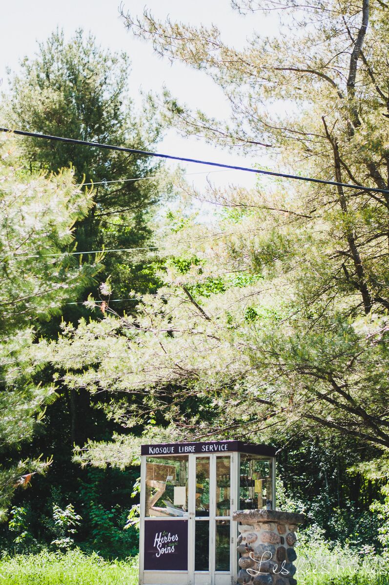 Les Herbes Aux Soins | 662 Rang des Chalets, Sainte-Clotilde-de-Horton, QC J0A 1H0, Canada | Phone: (819) 806-7646