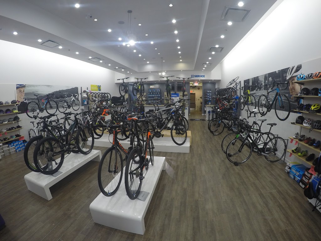 Giant White Rock | 60-16041 24 Ave, Surrey, BC V3S 9H7, Canada | Phone: (604) 536-3436