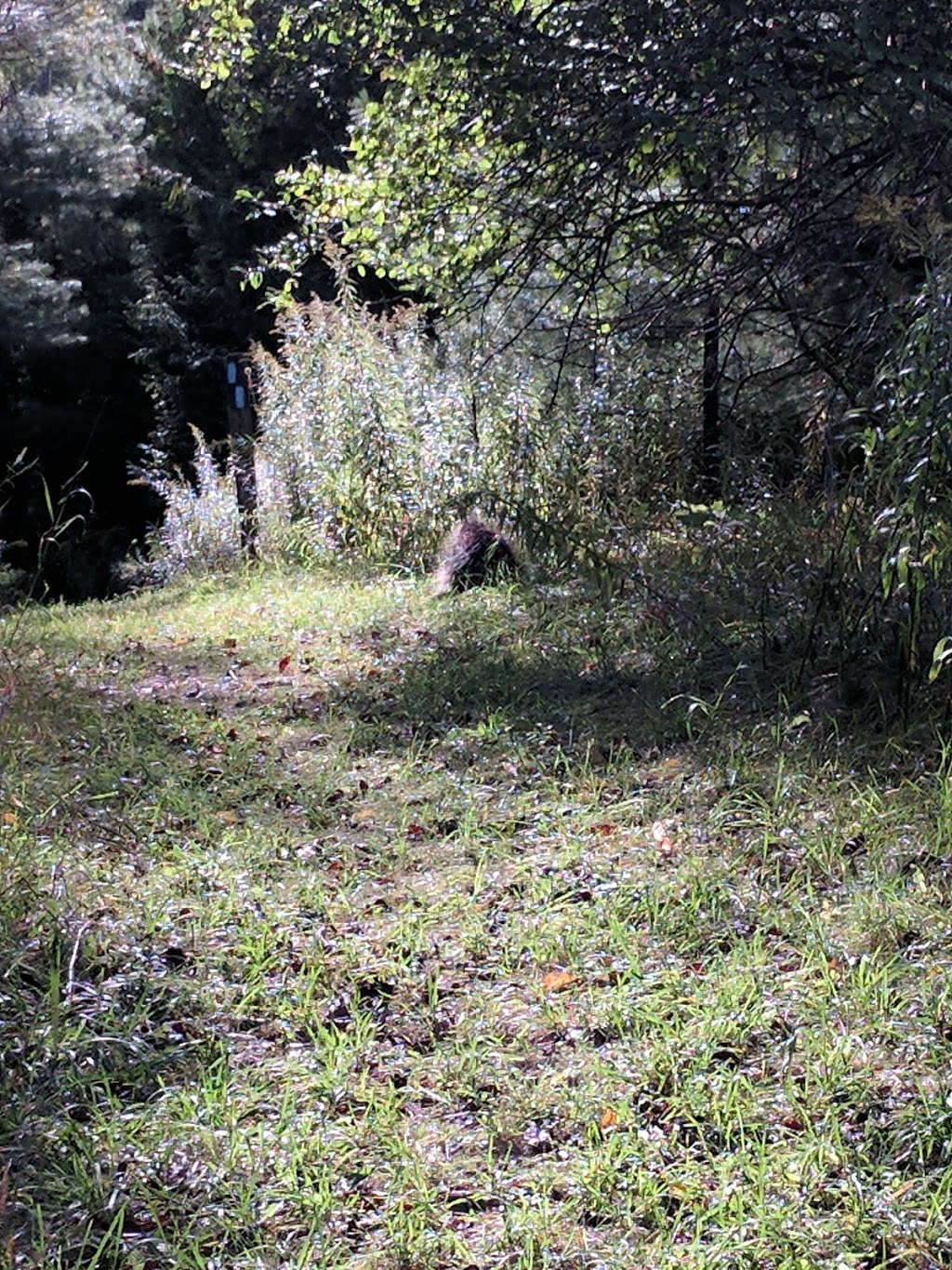 Conservation Lands | Mono Adjala Townline, Orangeville, ON L9W 2Z2, Canada | Phone: (416) 661-6600