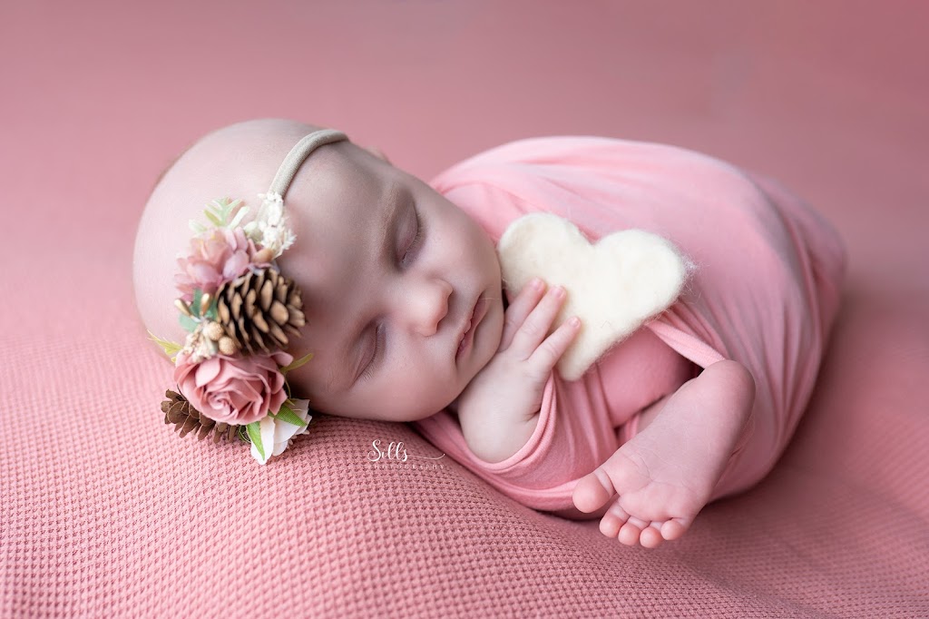 Sills Photography | 505 Mill St, Neustadt, ON N0G 2M0, Canada | Phone: (519) 369-1457