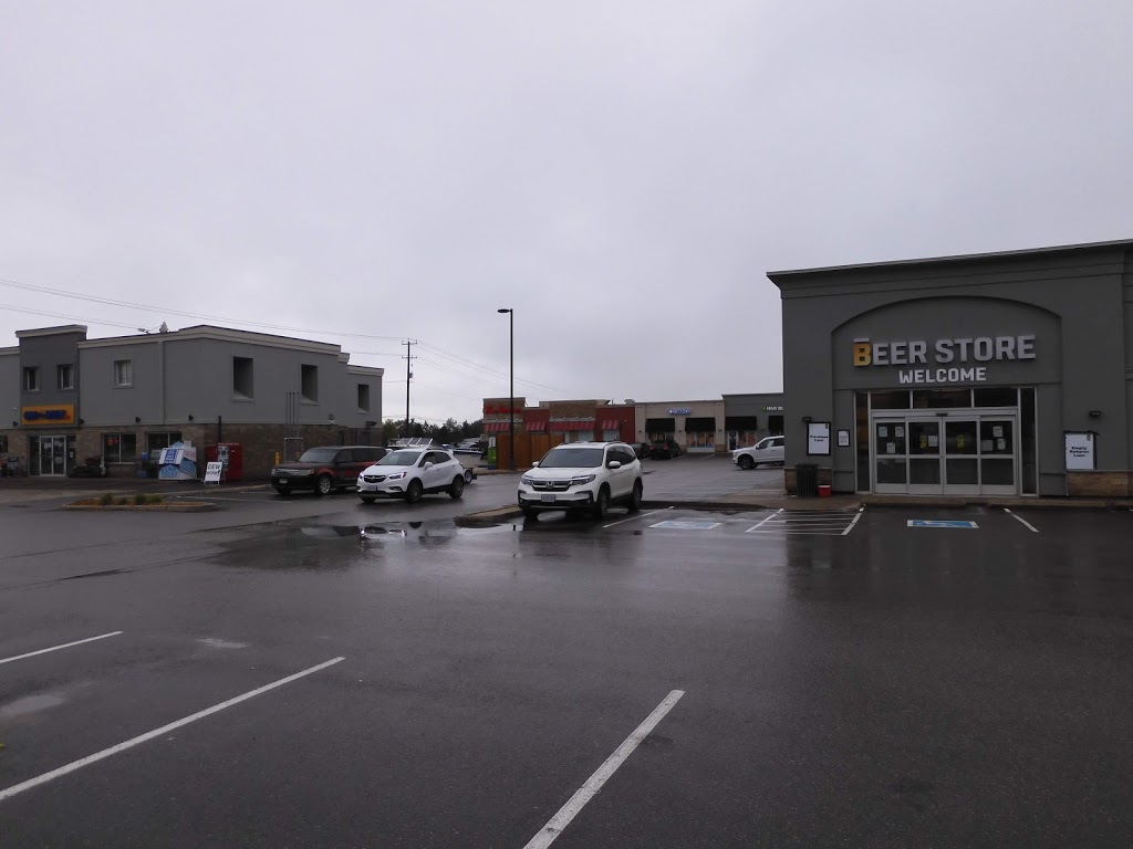 Beer Store | 802 Main St E, Shelburne, ON L0N 1S0, Canada | Phone: (519) 925-5321