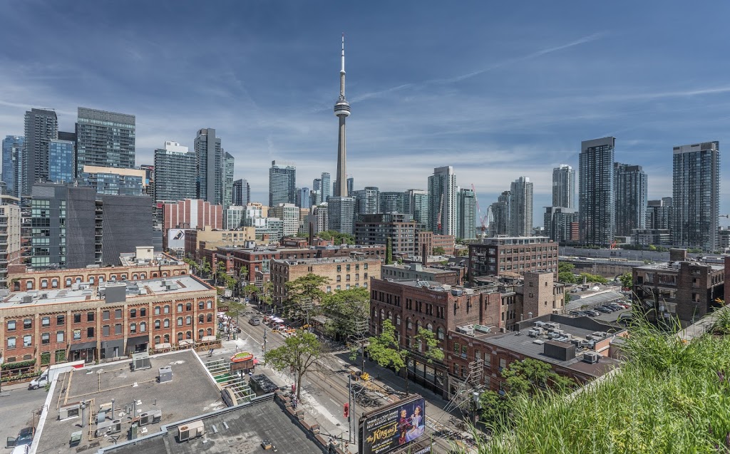 Leeanne Weld - Realtor - Royal LePage J&D Division | 477 Mt Pleasant Rd, Toronto, ON M4S 2L9, Canada | Phone: (416) 489-2121