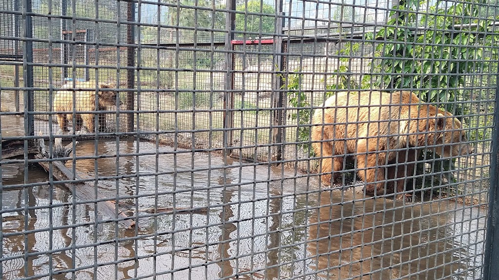 BC Wildlife Park | 9077 Dallas Dr, Kamloops, BC V2C 6V1, Canada | Phone: (250) 573-3242