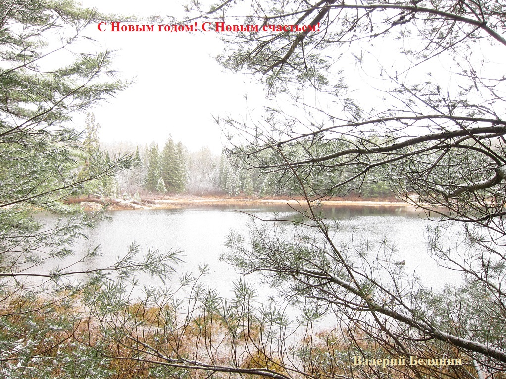 Psychotherapy | 48 Dunkirk Rd, East York, ON M4C 2M3, Canada | Phone: (416) 423-2484