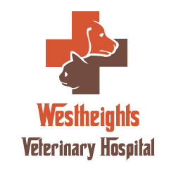 Westheights Veterinary Hospital | 450 Westheights Dr Unit #1, Kitchener, ON N2N 2B9, Canada | Phone: (519) 742-7387