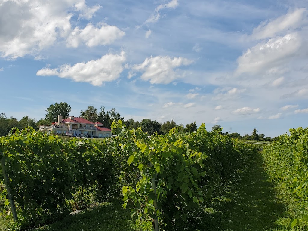 Vignoble Cortellino | 468 Rang Double, Saint-Urbain-Premier, QC J0S 1Y0, Canada | Phone: (450) 427-2121