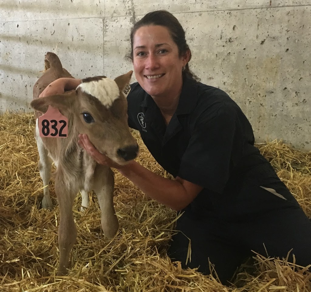 XLVets Canada | 1625 Angus Campbell Rd, Abbotsford, BC V3G 2G4, Canada | Phone: (800) 982-1674