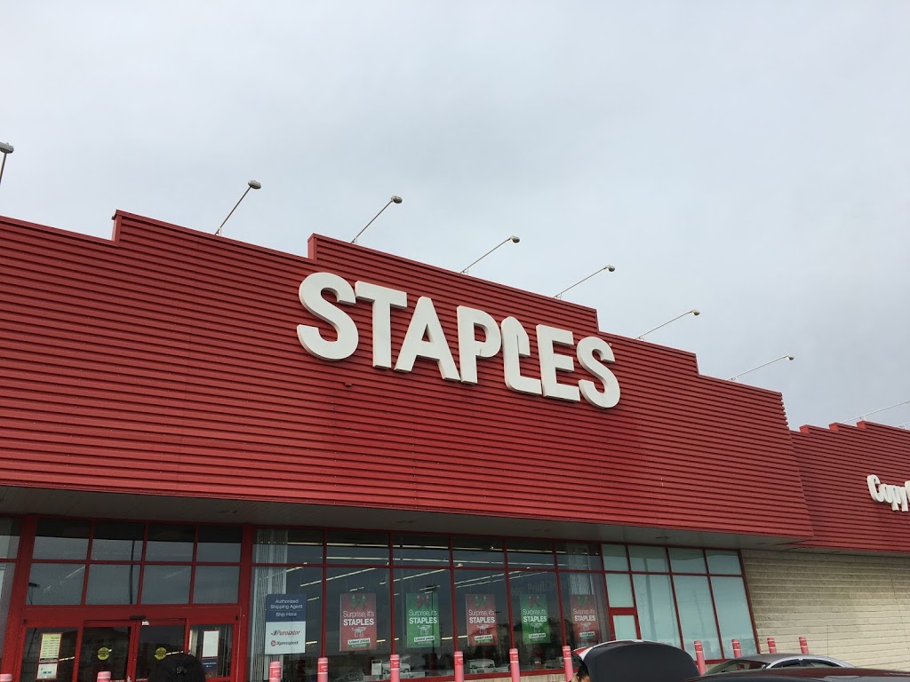 Staples Bookkeeping | 14 Mill St E, Hillsdale, ON L0L 1V0, Canada | Phone: (705) 817-4636