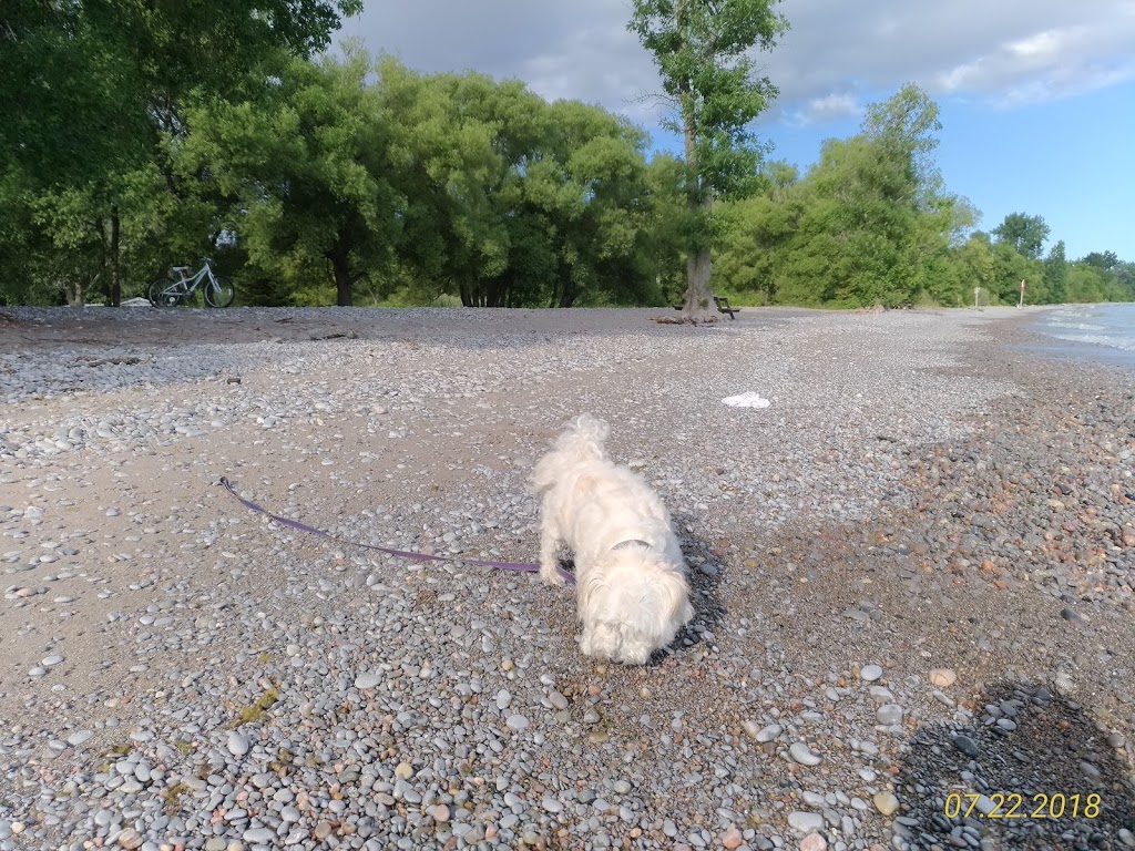 Jubalee Beach Park | 268 Wicklow Beach Rd, Colborne, ON K0K 1S0, Canada | Phone: (905) 349-2670