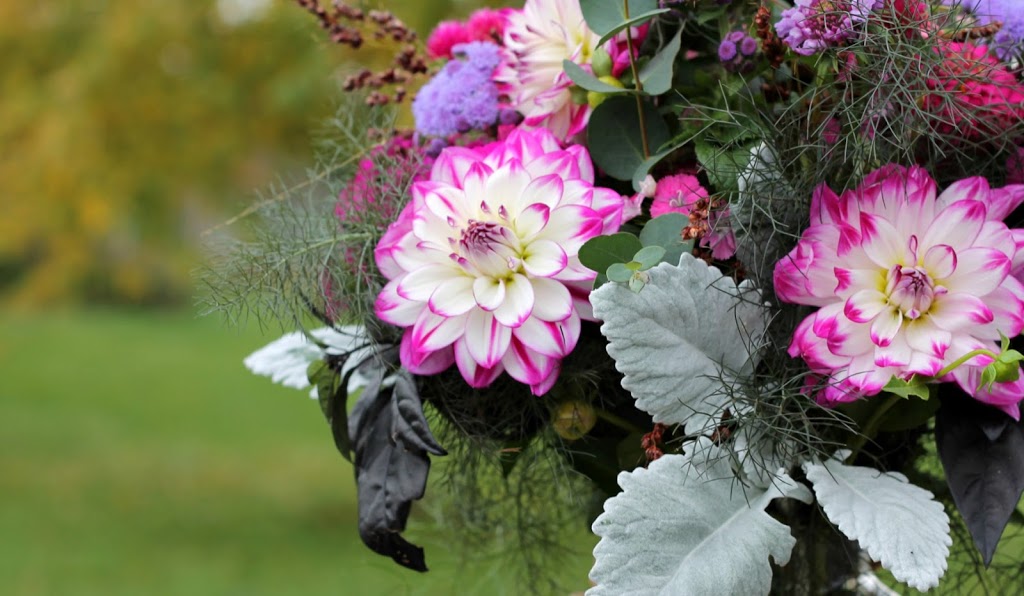 Wendalane Farms | 5998 Canborough Rd, Wellandport, ON L0R 2J0, Canada | Phone: (905) 386-0364