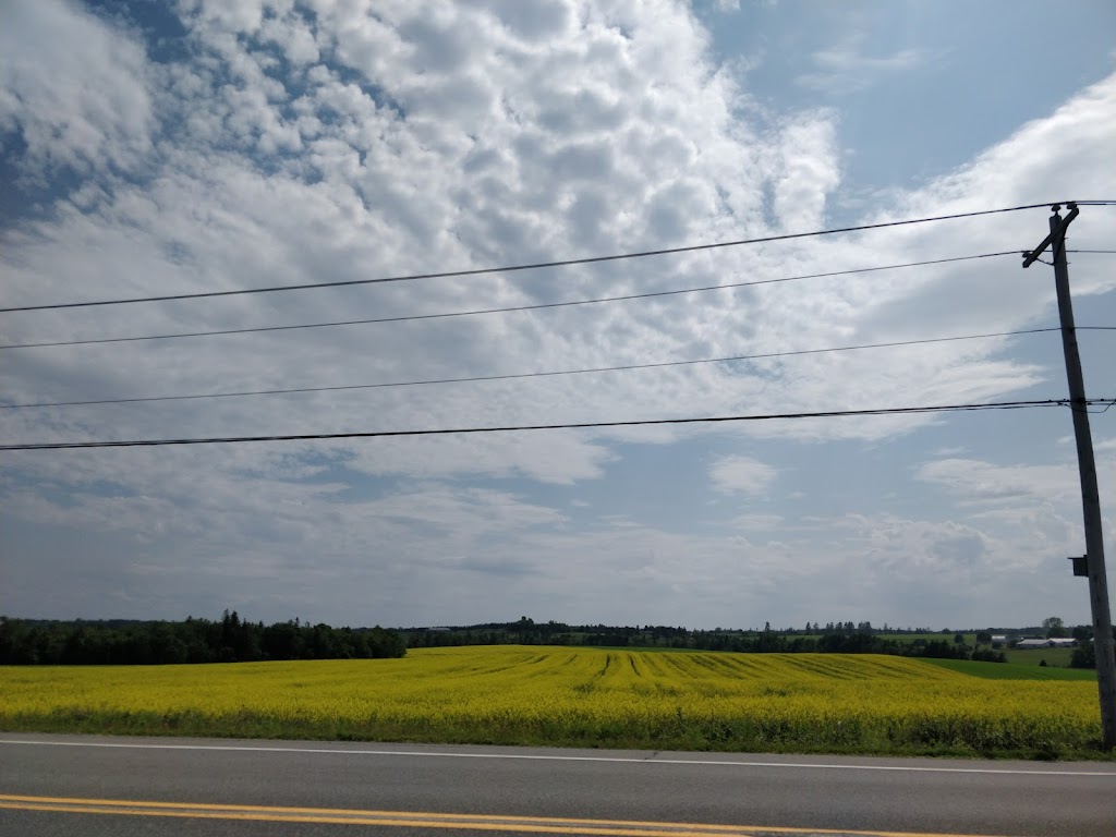 North Tryon Presbyterian Church | North Tryon, Borden-Carleton, PE C0A 1A0, Canada | Phone: (902) 855-2480