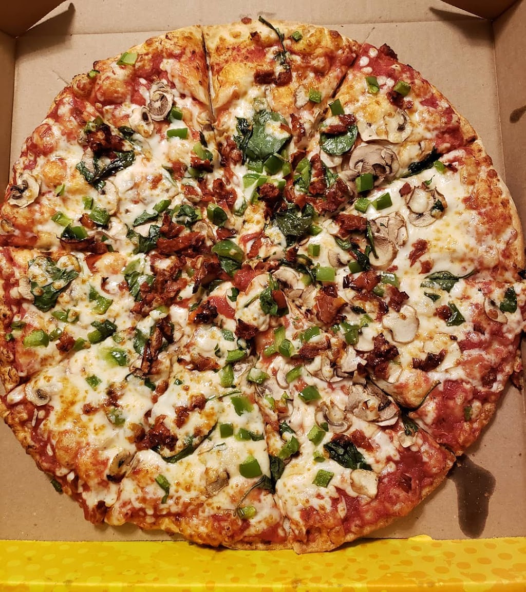 Ginos Pizza Brantford | 63 Brant Ave, Brantford, ON N3T 3G7, Canada | Phone: (519) 759-0505