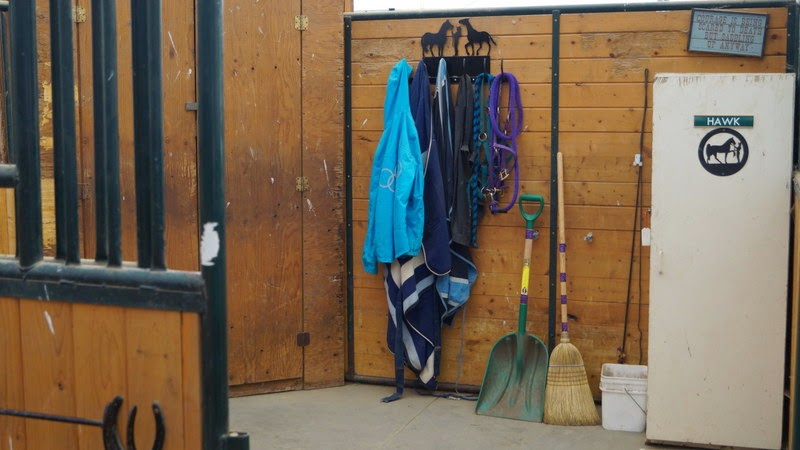 White Dove Stables | 5285 Hopedale Rd, Chilliwack, BC V2R 4P9, Canada | Phone: (604) 832-0189