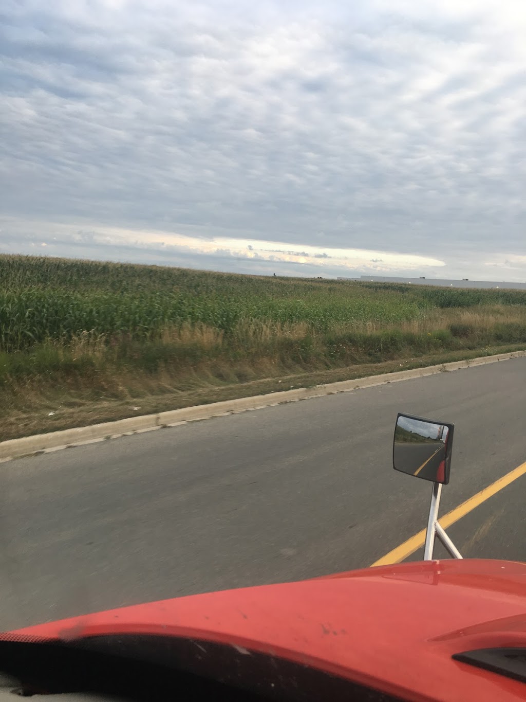 Spring Farms | 33933 Prospect Hill Rd, Granton, ON N0M 1V0, Canada | Phone: (519) 225-2845