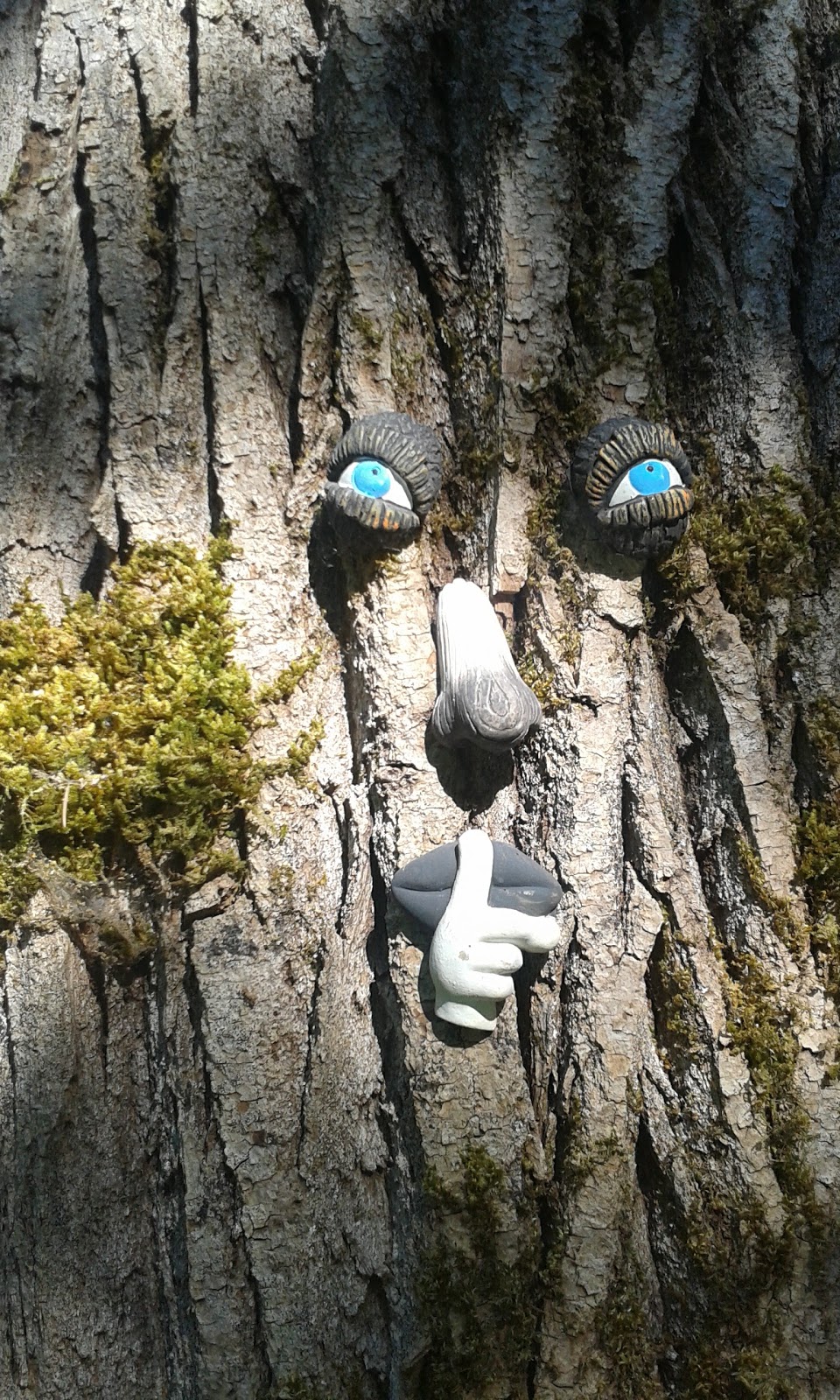 Fairy Lane | 6933 208B St Langley, BC ⚑ V2Y 0G3 208B St, Langley City, BC V2Y 2R7, Canada