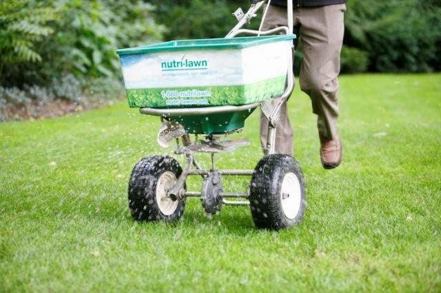 Nutri-Lawn of Abbotsford | 498 McKenzie Rd, Abbotsford, BC V2S 8B1, Canada | Phone: (604) 504-7112