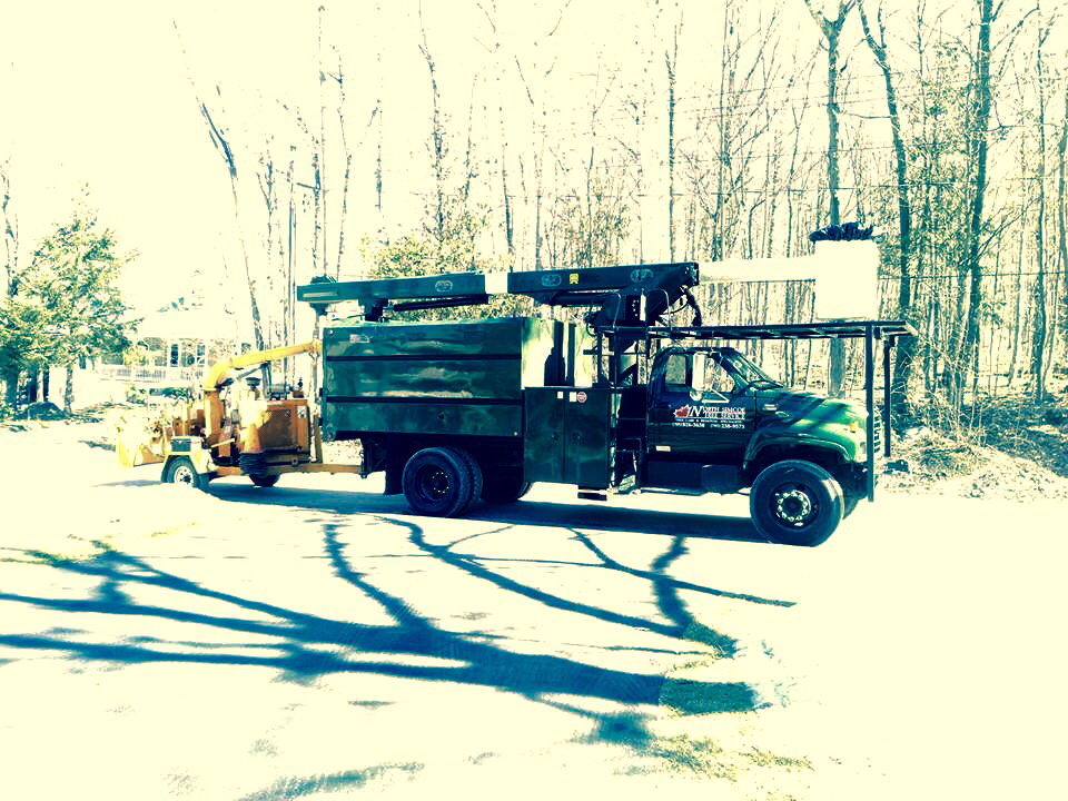 North Simcoe Tree Service | 24 Jury Dr, Penetanguishene, ON L9M 1G1, Canada | Phone: (705) 238-9573