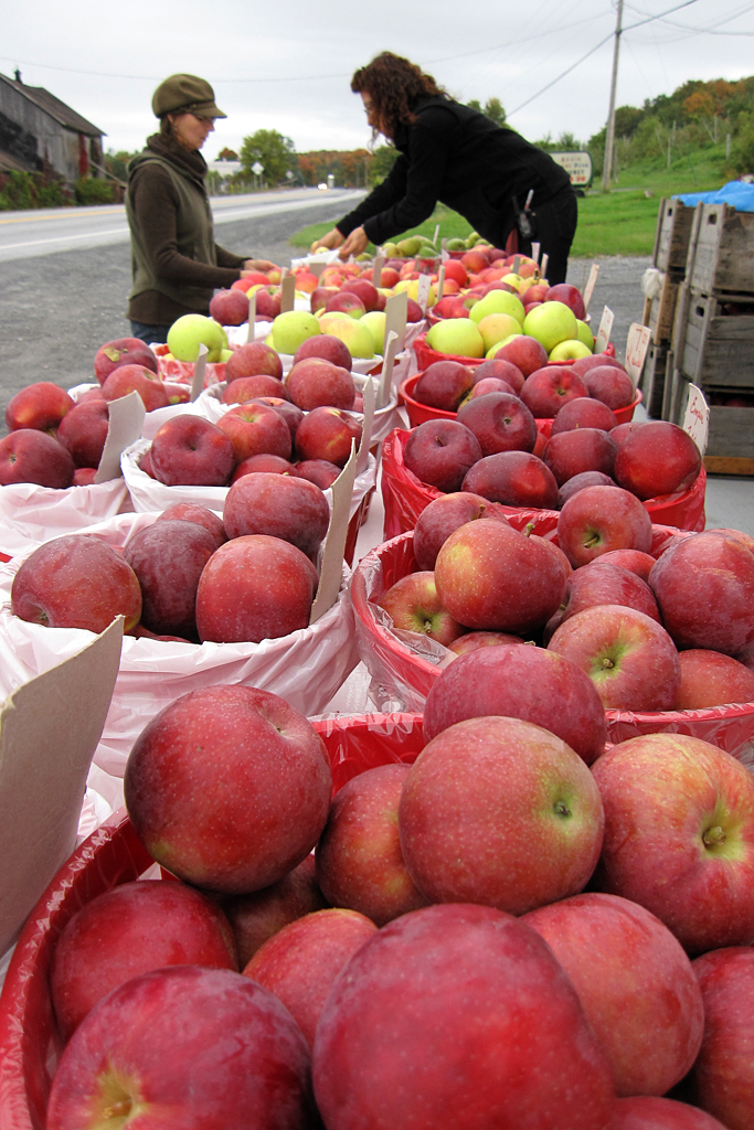 Paradis des Fruits Dunham | 519 Rue Bruce, Dunham, QC J0E 1M0, Canada | Phone: (450) 295-2667