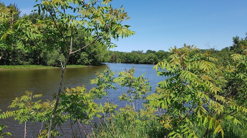 Parc national de Plaisance | 1001 Chemin de la Grande Presquîle, Plaisance, QC J0V 1S0, Canada | Phone: (800) 665-6527