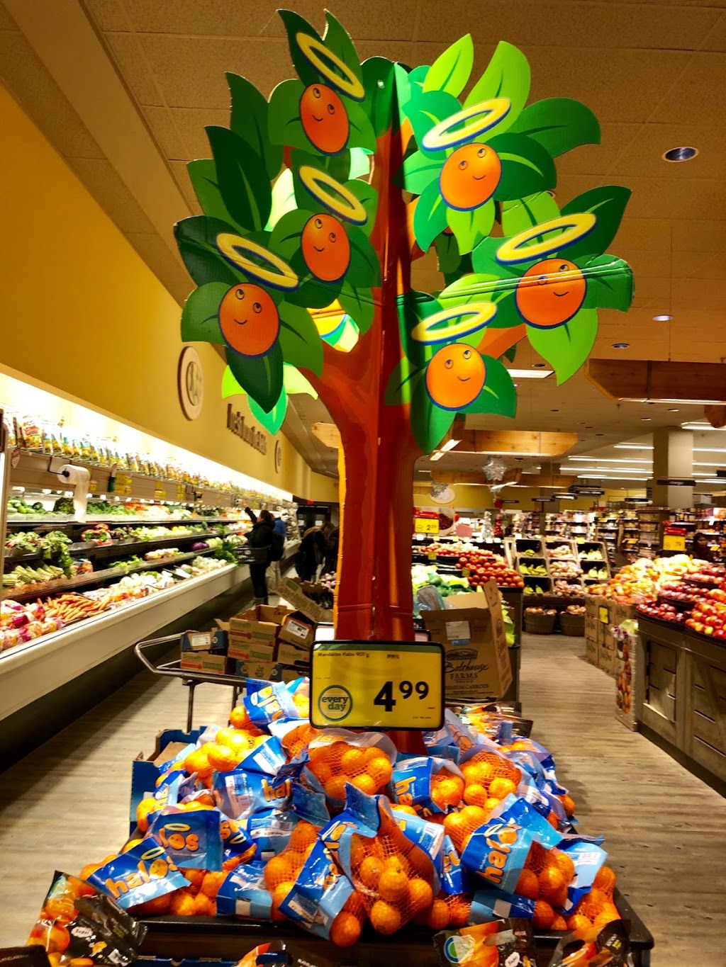 Safeway Oakridge | 650 W 41st Ave #185, Vancouver, BC V5Z 2M9, Canada | Phone: (604) 263-2575