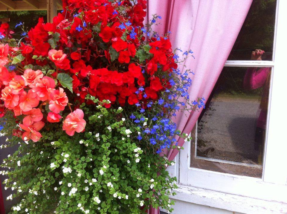 Belle à croquer | 2500 Chemin Saint-Michel N, Sainte-Thècle, QC G0X 3G0, Canada | Phone: (418) 289-2210