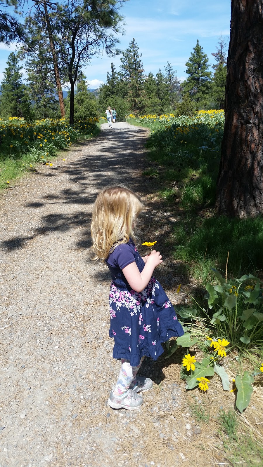 Dilworth Mountain Park | Chilcotin Crescent, Kelowna, BC V1Y 7V3, Canada