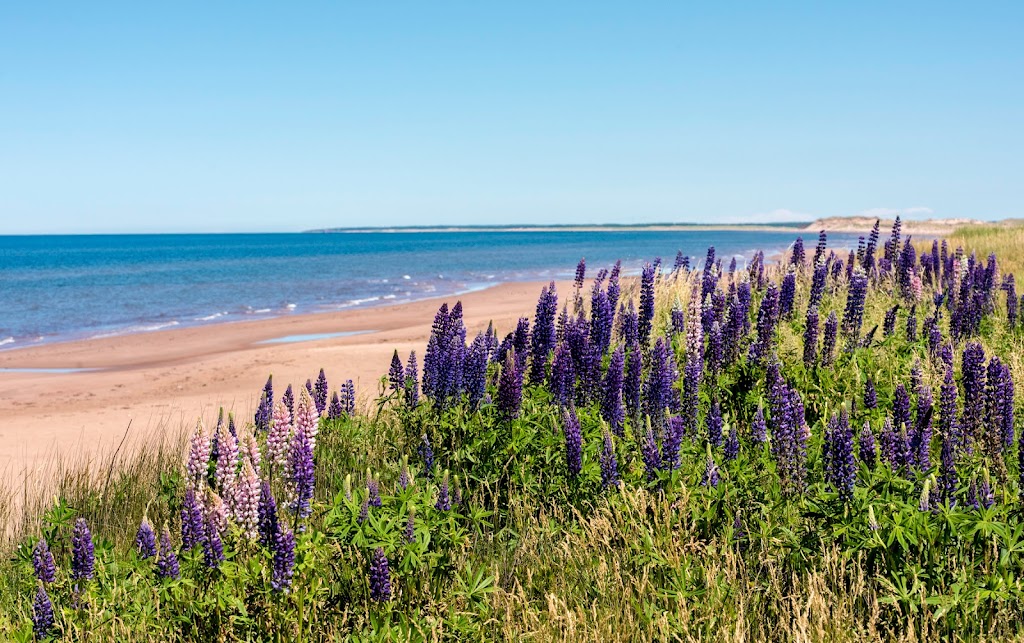 Goodview Cottages By Stanhope Beach | 1319 Gulf Shore Pkwy E, York, PE C0A 1P0, Canada | Phone: (902) 316-6039