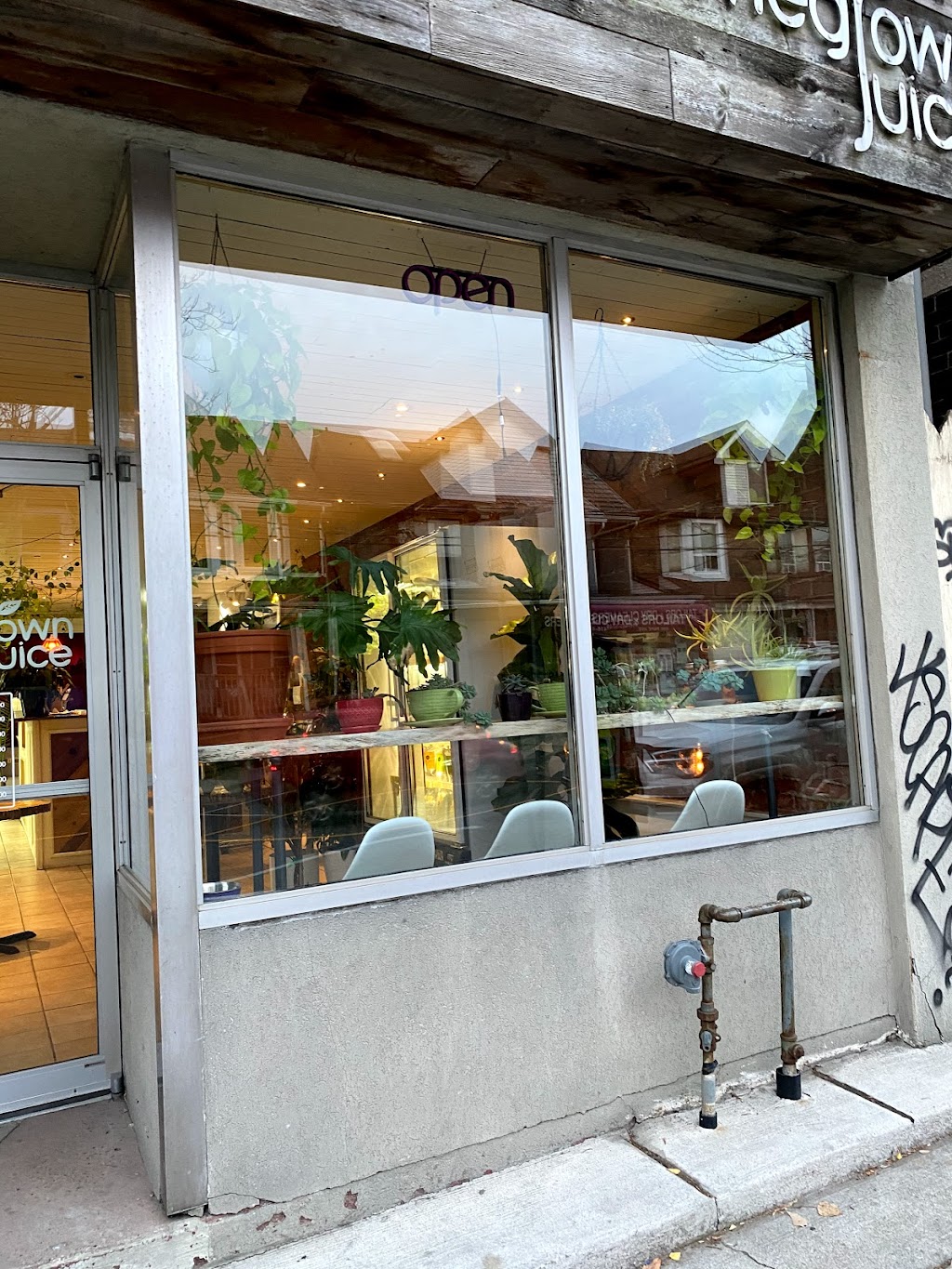 Homegrown Juice | 676 Pape Ave, Toronto, ON M4K 3S5, Canada | Phone: (416) 466-1110