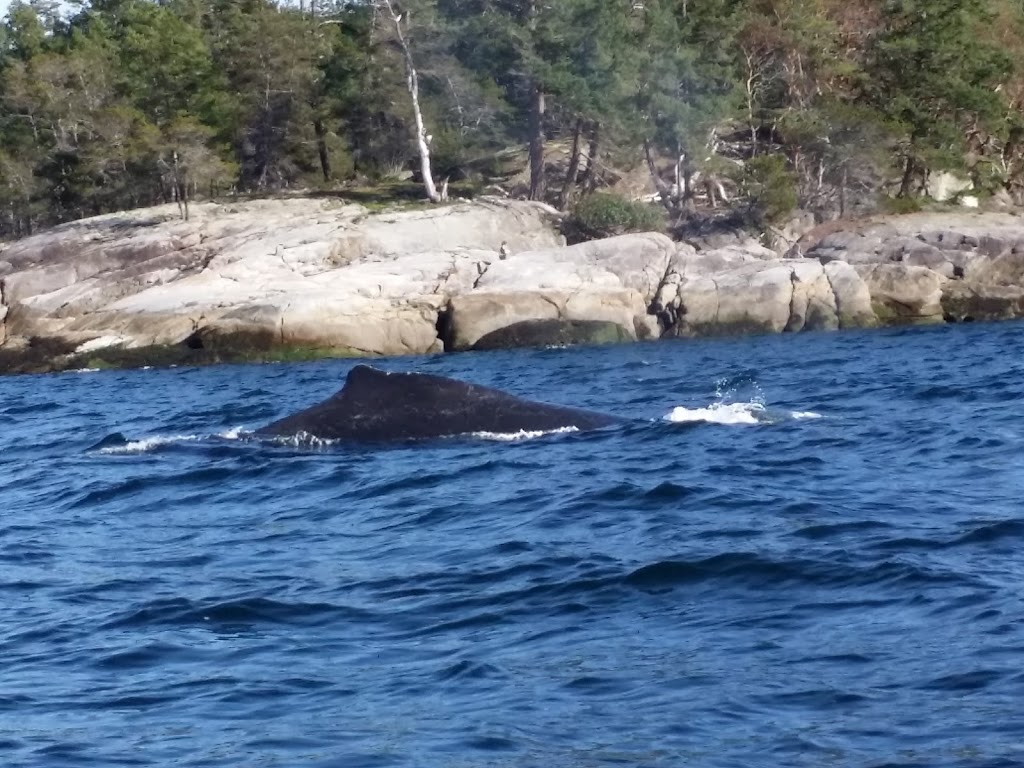 Secret Cove Sail Tours | 5471 Secret Cove Rd #28, Halfmoon Bay, BC V0N 1Y2, Canada | Phone: (604) 219-0837