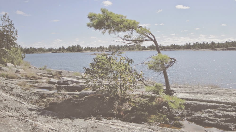 Riverdale Estates | 596 Oleary Ln, Victoria Harbour, ON L0K 2A0, Canada | Phone: (705) 791-2571