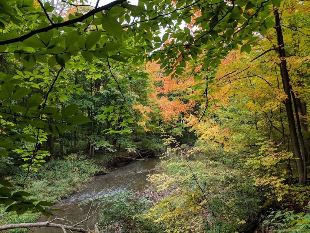 Meadowvale Station Woods North | Meadowvale Village, Mississauga, ON L5W 1Z7, Canada
