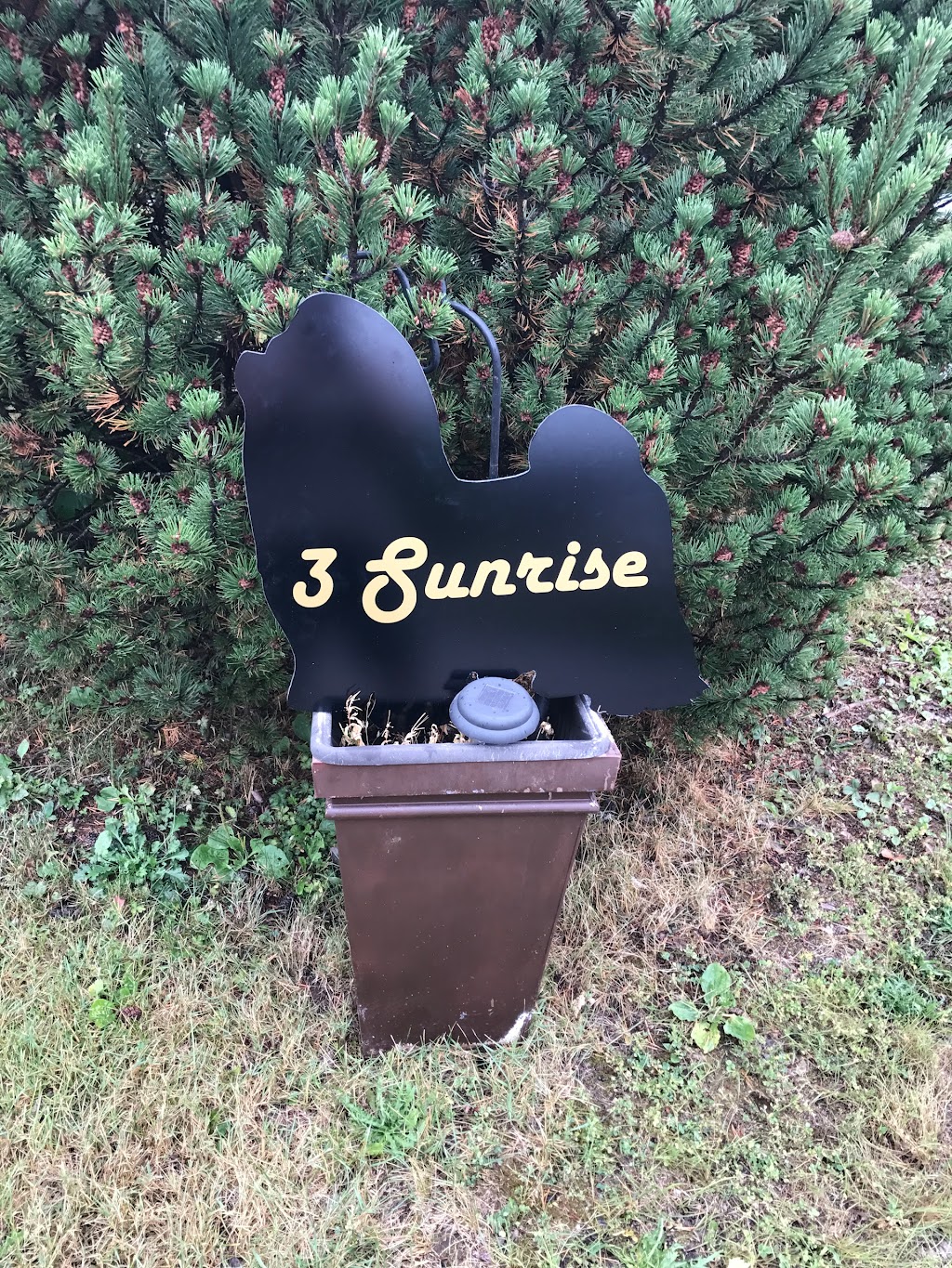 Purrfect Paws N Tails Pet Grooming | 3 Sunrise Ave, Salisbury, NB E4J 2S3, Canada | Phone: (506) 961-1285