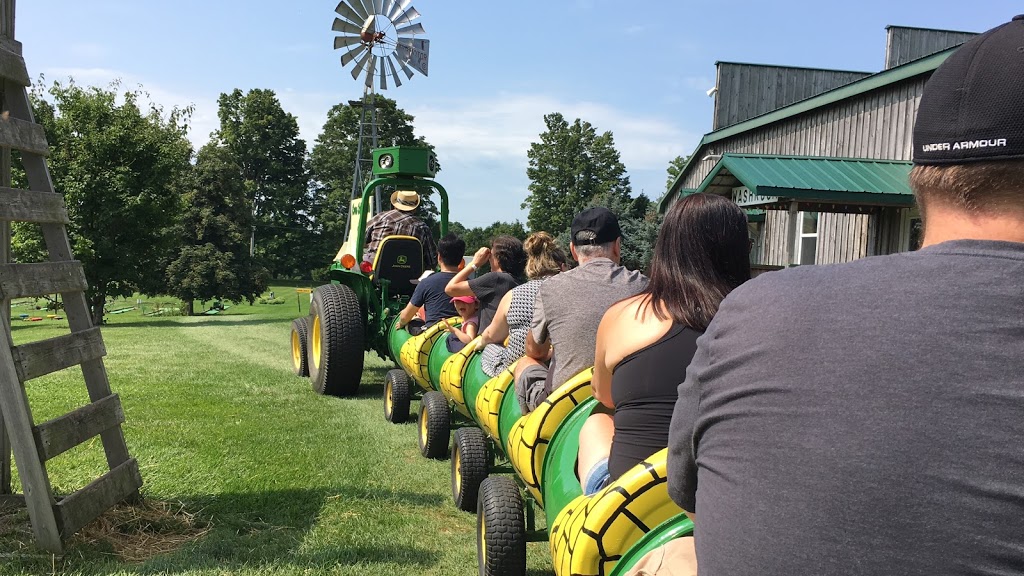 Leaping Deer Adventure Farm and Market | 544212 Clarke Rd, Ingersoll, ON N5C 3J8, Canada | Phone: (519) 485-4795
