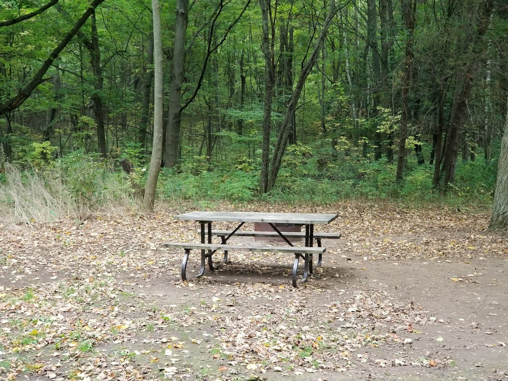 Falls Reserve Conservation Area | 80900 Falls Reserve Line, Goderich, ON N7A 3Y1, Canada | Phone: (519) 524-6429