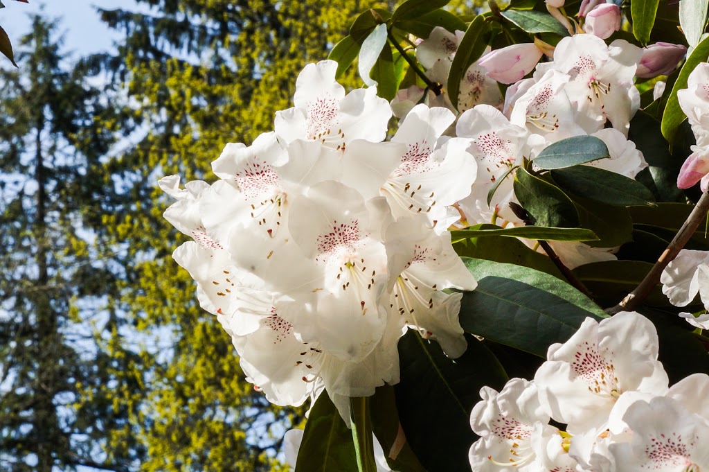 Century Gardens | Burnaby, BC V5G 2J3, Canada