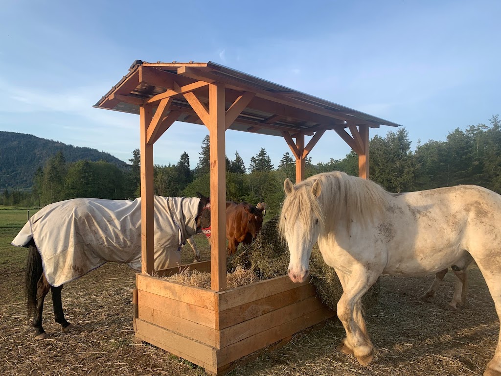 Little Blackbird Farm | 1885 Wilmot Rd, Cowichan Bay, BC V0R 1N1, Canada | Phone: (250) 888-5816