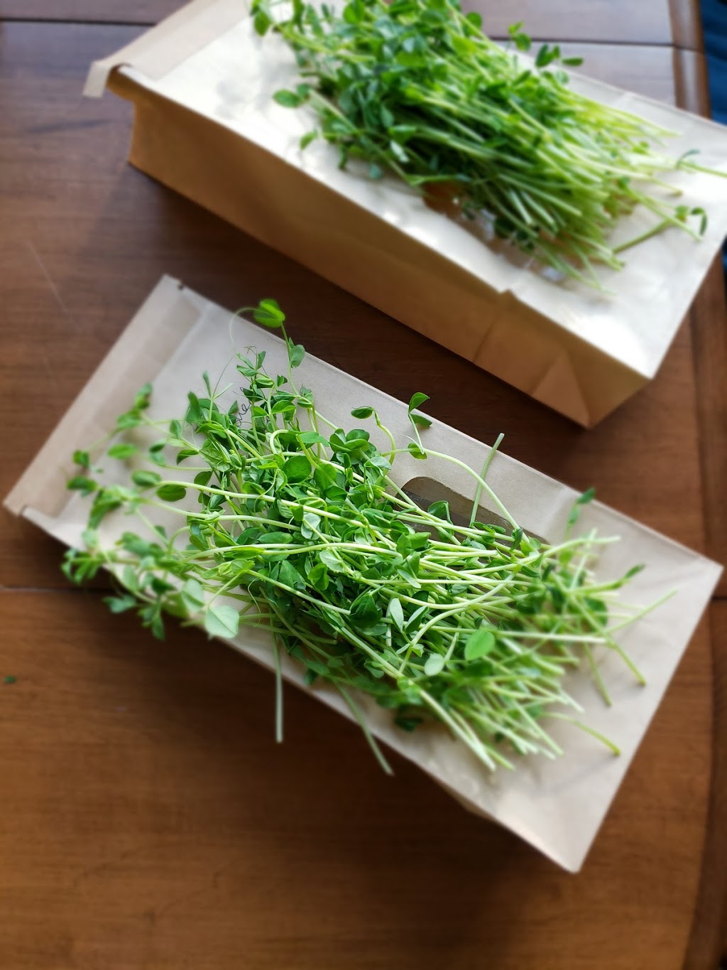 Glean: an Ediths Farm co | 19148, Township Rd 464, Camrose, AB T0B 3P0, Canada | Phone: (780) 909-0416