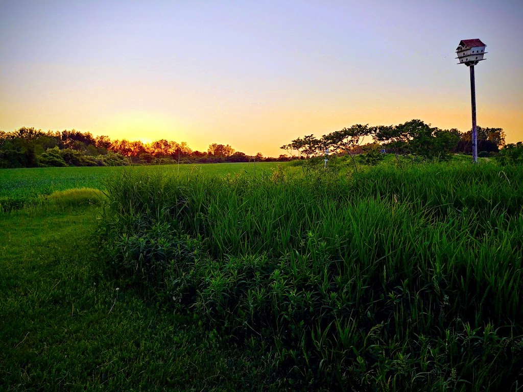 Fingal Wildlife Management Area | 34469 Fingal Line, Fingal, ON N0L 1K0, Canada