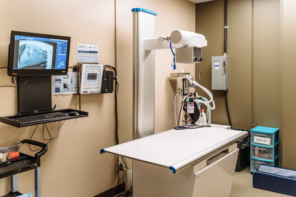 Boundary Bay Veterinary Specialty Hospital | 20434 64 Ave #202, Langley City, BC V2Y 1N4, Canada | Phone: (604) 514-8383