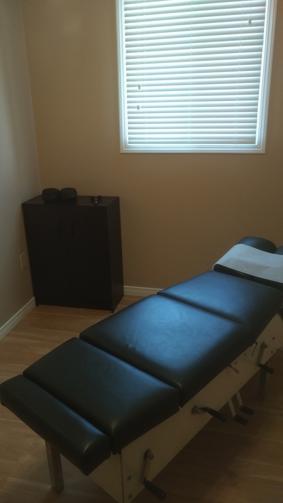 Dr. Renee Laframboise B.Sc., D.C. | 30 Notre Dame St E, Azilda, ON P0M 1B0, Canada | Phone: (705) 983-0511