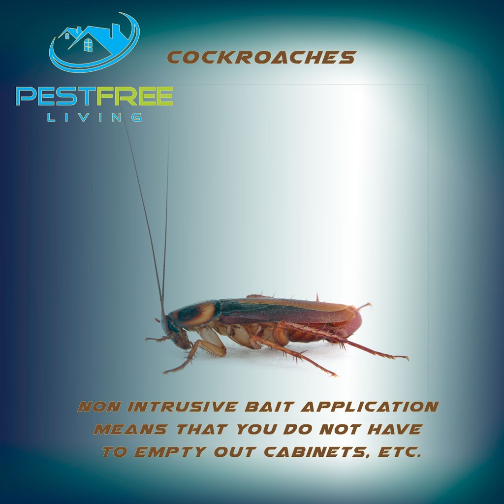 Pestfreeliving.ca | 12 Penelope St, Brampton, ON L6P 3H7, Canada | Phone: (416) 321-5060