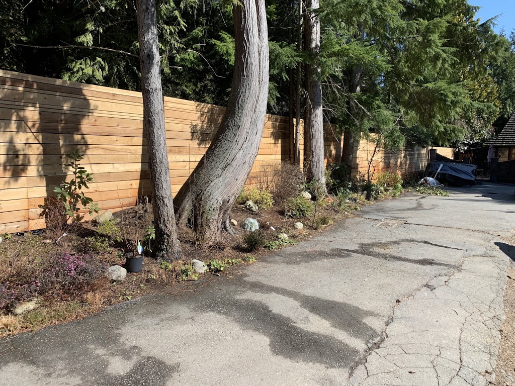 Accurate Cedar Ltd | 8165 Main St #85, Vancouver, BC V5X 3L0, Canada | Phone: (604) 273-3329
