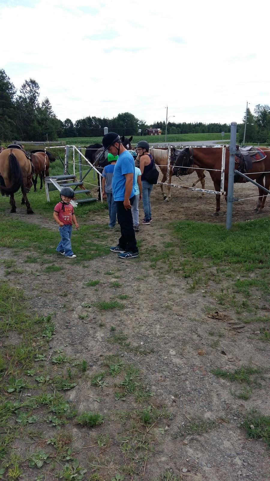 Centre Equestre Des Sables | 571 Chem. des Sables O, Pintendre, QC G6C 1B6, Canada | Phone: (418) 837-7185