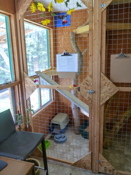 Happytails Pet Retreat | Cochrane, AB T4C 1A7, Canada | Phone: (403) 851-2050